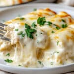 A fork lifts a cheesy, creamy piece of baked chicken Alfredo cannelloni from a white plate. The dish, reminiscent of easy chicken enchiladas with its rich flavor, is topped with melted cheese and garnished with fresh parsley.