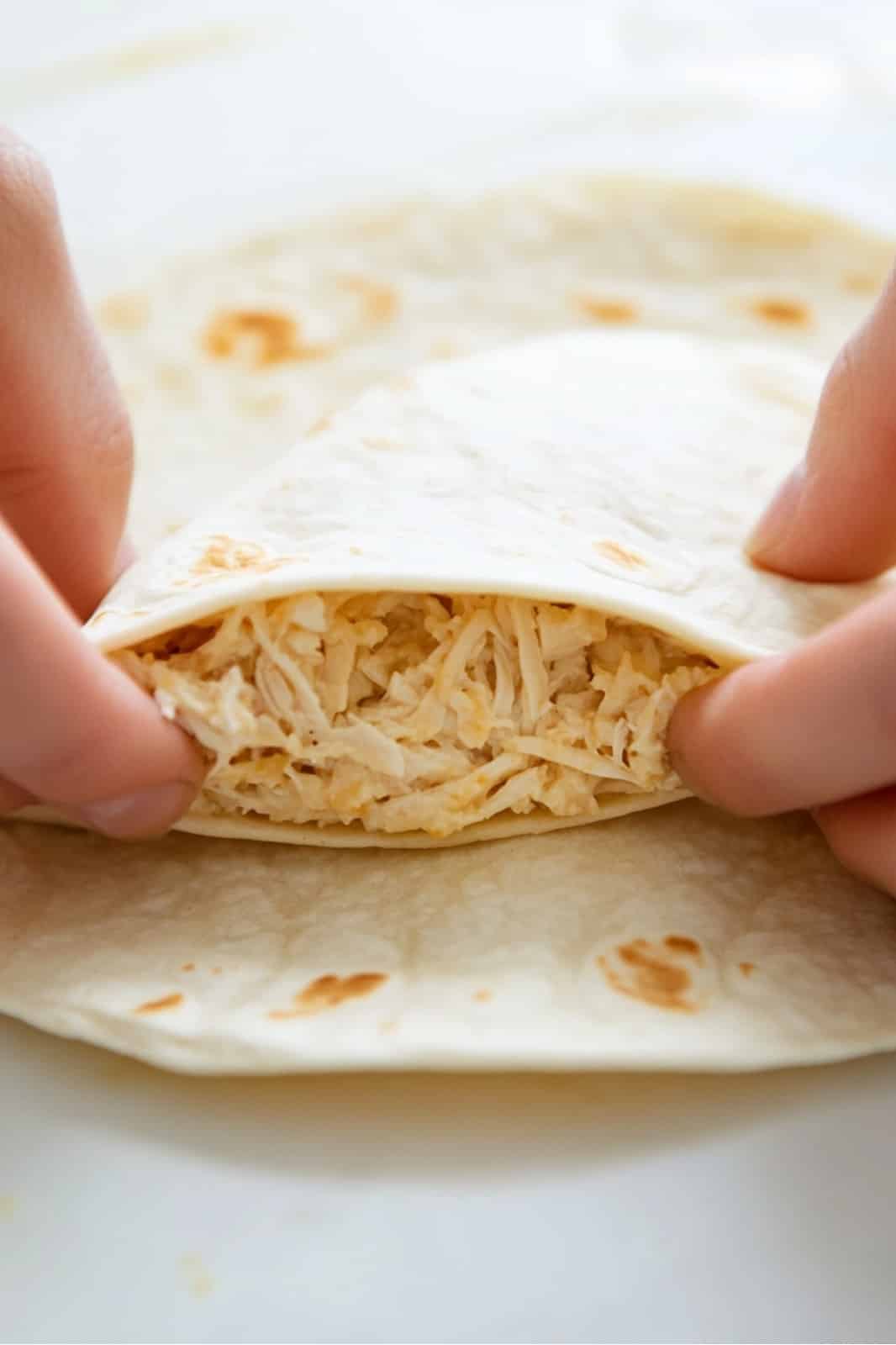 White Chicken Enchiladas Recipe