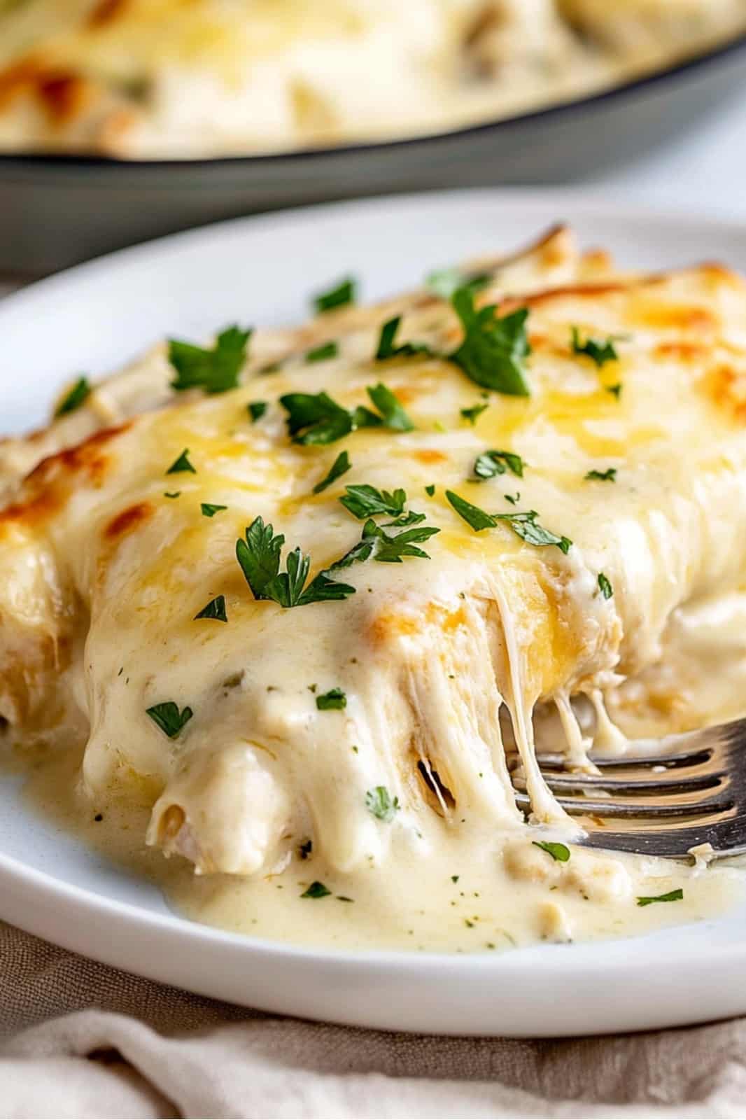 White Chicken Enchiladas Recipe