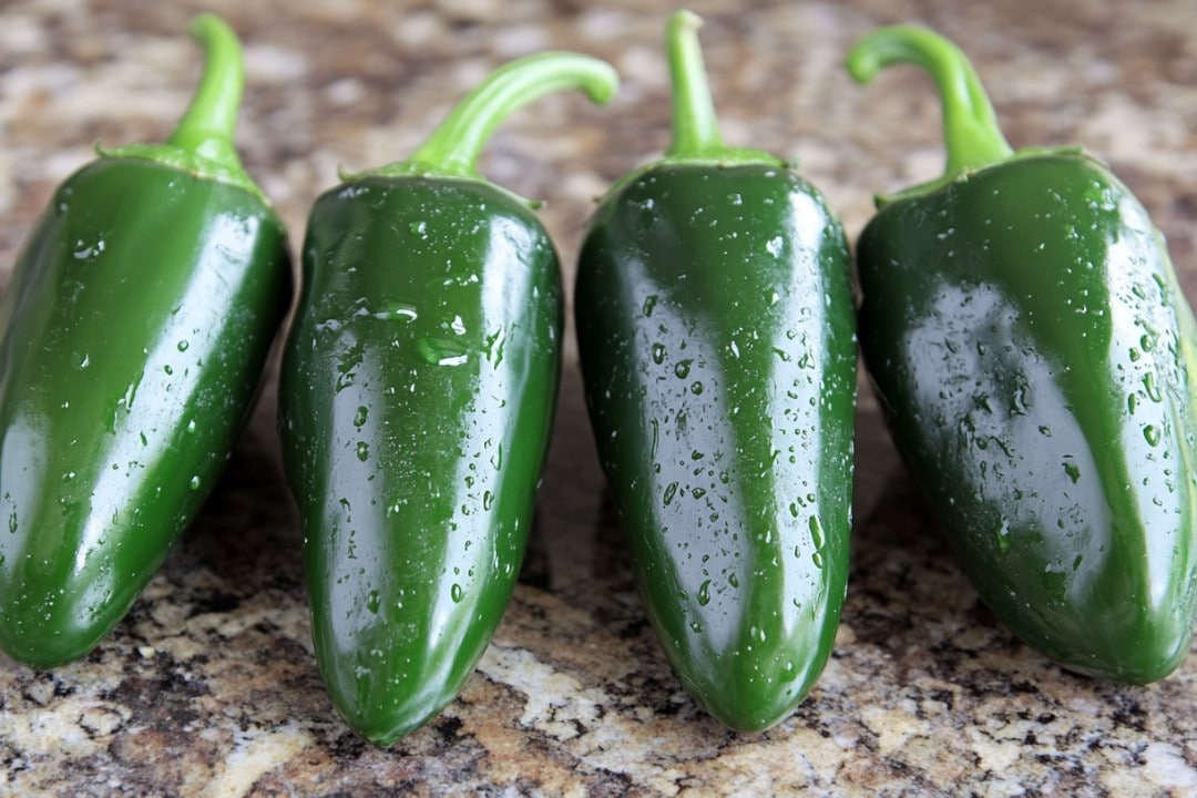 Four fresh, green jalapeño peppers with water droplets on their surfaces are arranged in a row on a marbled, brown countertop, tempting you to choose spicy jalapeños. Look for darker lines and firm skin as tips for picking spicy jalapeños.