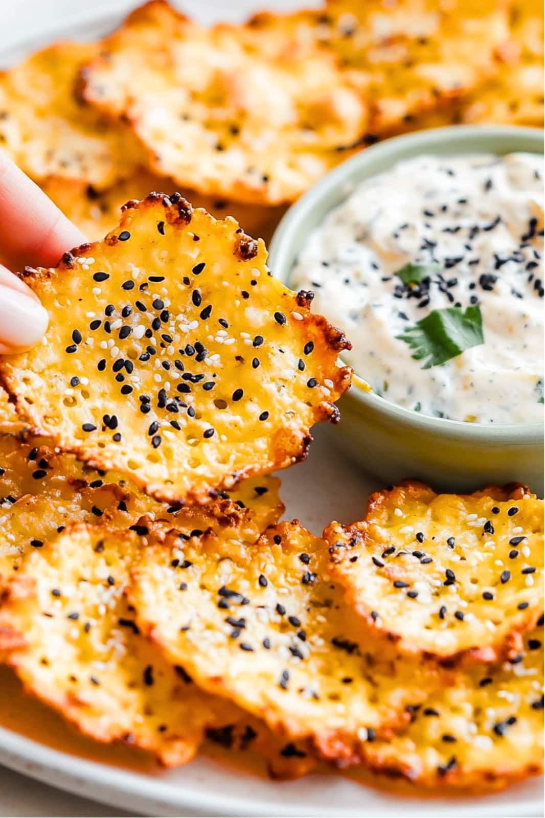 Cottage Cheese Chips Recipe