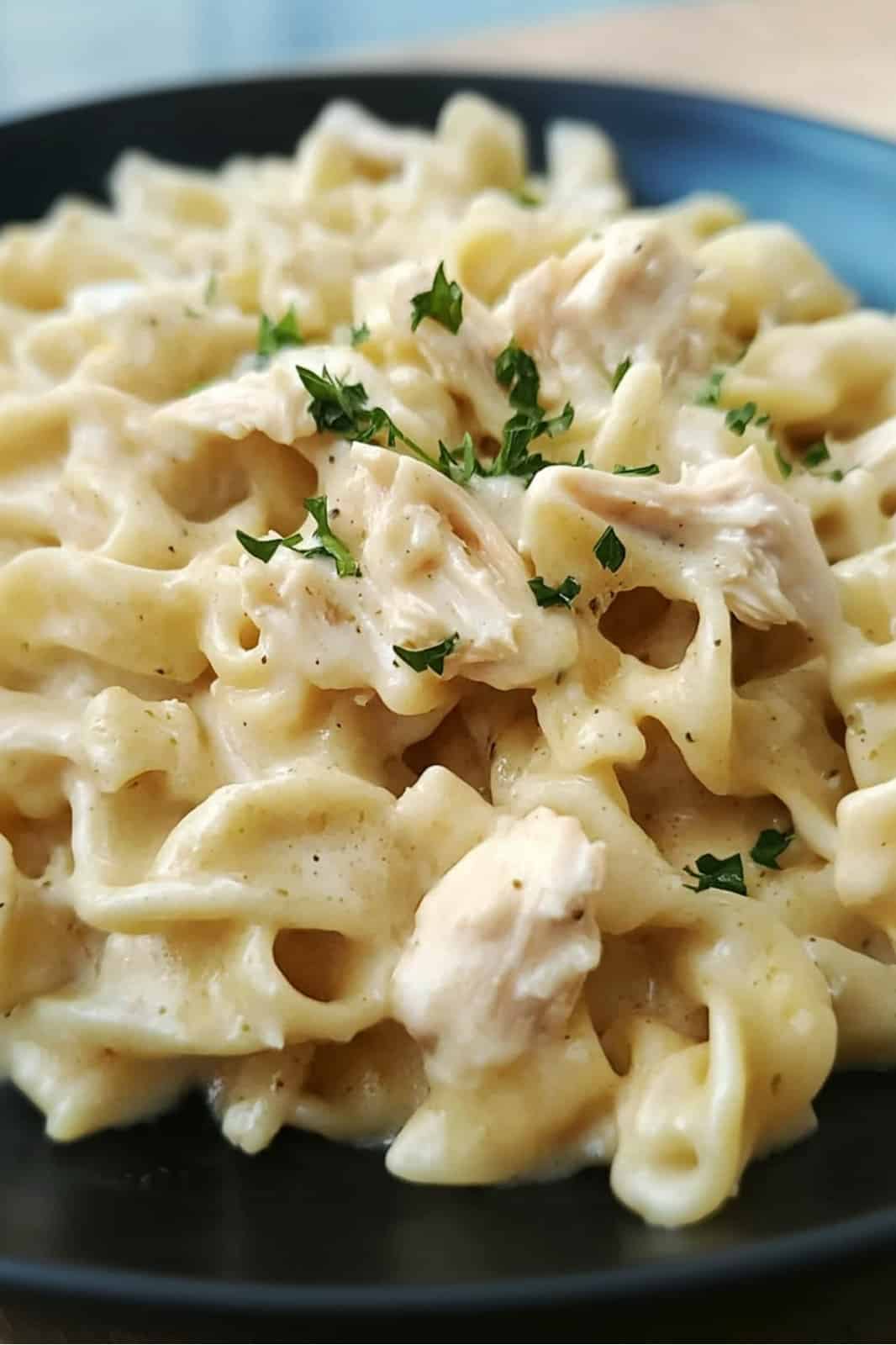 This Chicken & Noodles Crock Pot recipe is creamy and comforting! Made with tender chicken, egg noodles, and a rich broth, it's an easy slow cooker meal perfect for cozy dinners. Ready in 7 hours!