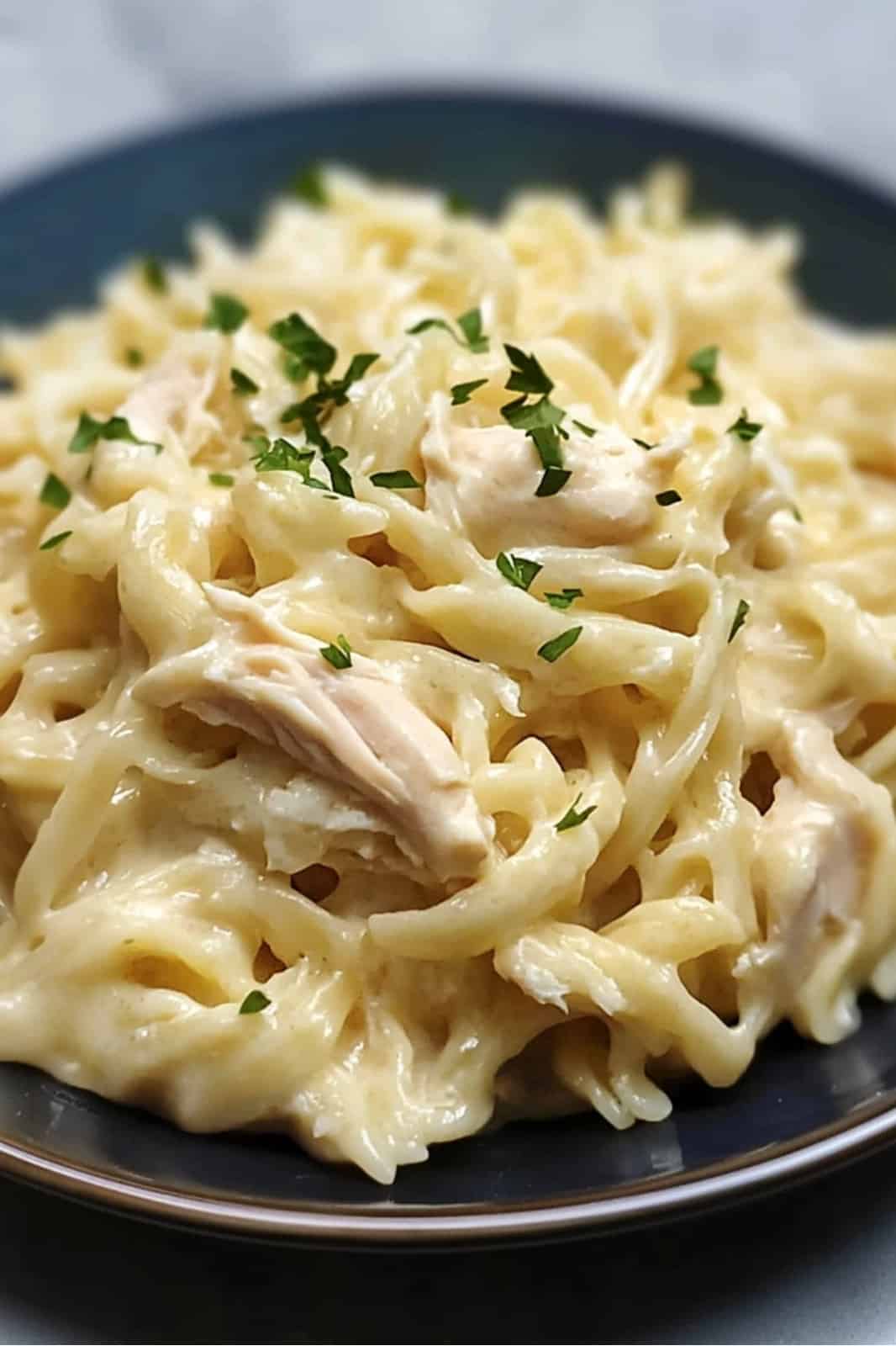 This Chicken & Noodles Crock Pot recipe is creamy and comforting! Made with tender chicken, egg noodles, and a rich broth, it's an easy slow cooker meal perfect for cozy dinners. Ready in 7 hours!