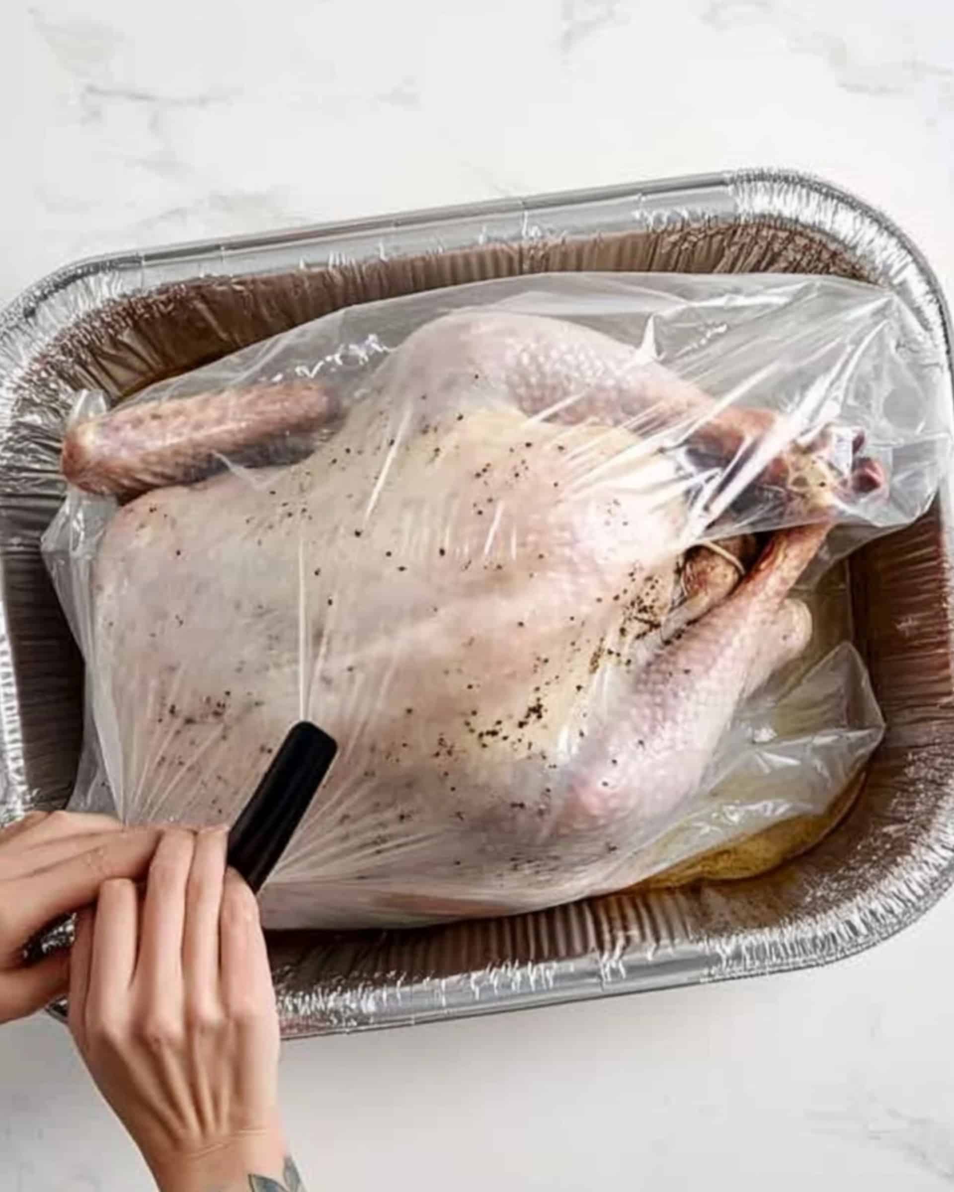 Juicy Turkey in a Roasting Bag Recipe