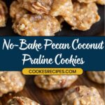 Close-up of pecan coconut praline cookies stacked on a black surface. Their light brown hue is speckled with visible pecan pieces. Text reads No-Bake Pecan Coconut Praline Cookies, inviting you to explore more via the link below.