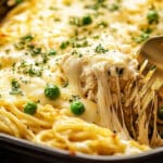 Creamy Chicken Tetrazzini Recipe