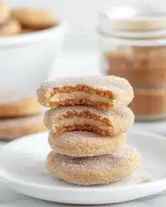 Cinnamon Sugar Ritz Churro Bites Recipe