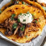 Instant Pot Carnitas Recipe