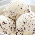 Coconut Chip Ice Cream Recipe