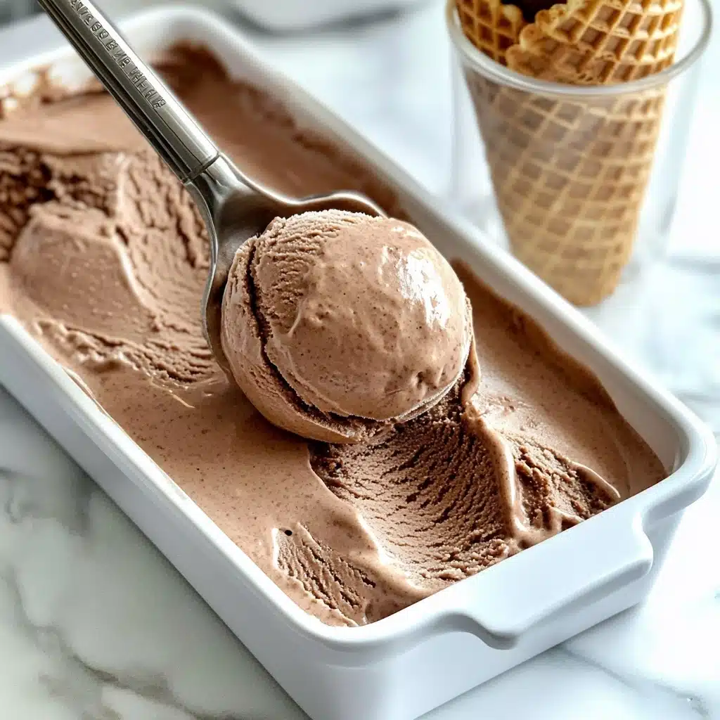 Chocolate Coconut Milk Ice Cream Recipe - Recipe Image