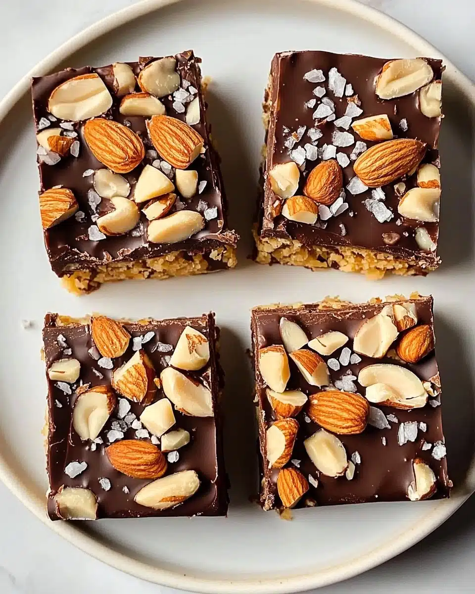 Dark Chocolate and Sea Salt Nut Bars Recipe