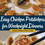 Chicken Potstickers Recipe