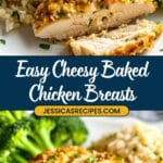 Baked Cheesy Chicken Breasts Recipe