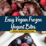 Frozen Yogurt Bites Recipe
