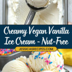 Creamy Vegan Vanilla Ice Cream Recipe