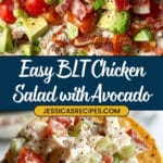 BLT Chicken Salad Recipe