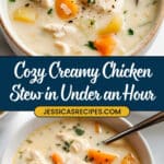 Creamy Chicken Stew Recipe