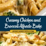 Chicken and Broccoli Alfredo Bake Recipe