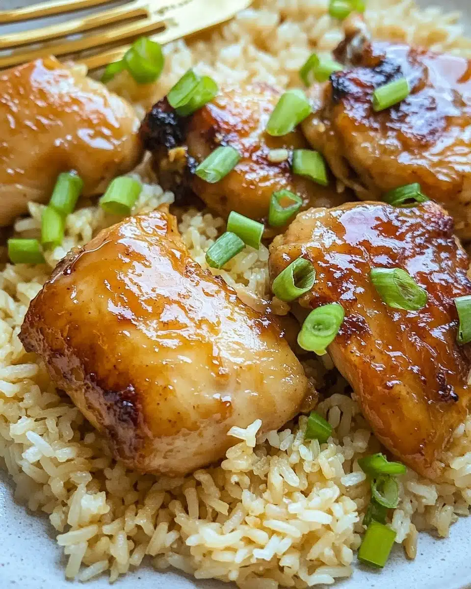Soy Garlic Chicken and Rice Recipe