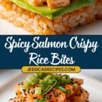 Salmon Crispy Rice Recipe