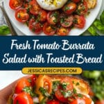 Tomato Burrata Salad Recipe