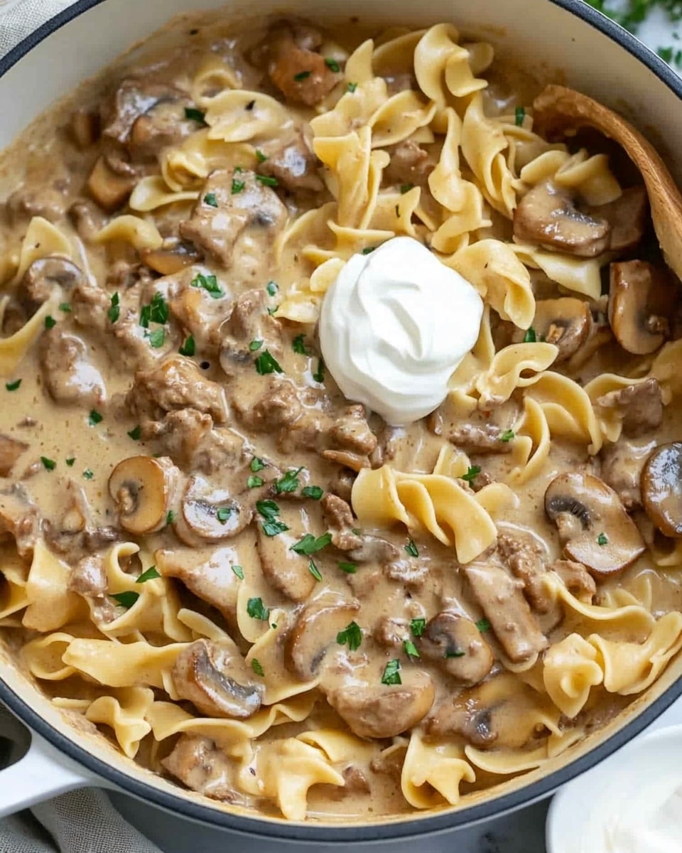 Beam Stroganoff Recipe