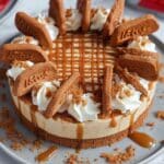 No-Bake Biscoff Cheesecake Recipe