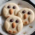 Owl Cookies with Almond Beaks and M&M Eyes Recipe