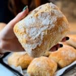 5-Ingredient No-Knead Crusty Panini Bread Recipe