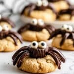 Spooky Vegan Spider Cookies Recipe