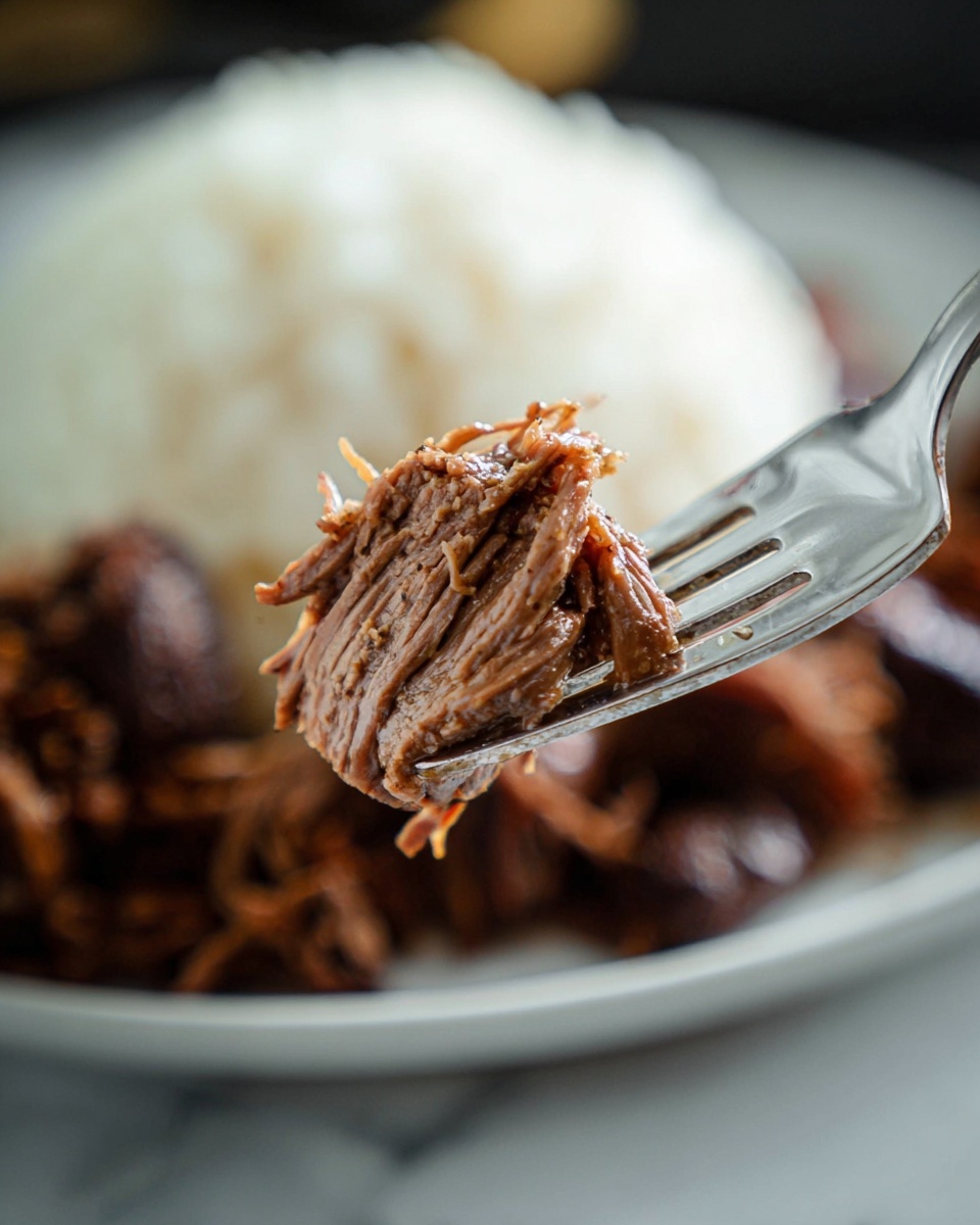A close-up of a silver fork holding a single piece of tender, shredded brown beef with visible muscle strands and slight seasoning. In the blurred background, there is a white plate filled with a mound of white rice and more dark brown shredded beef, placed on a white marbled surface with soft lighting. photo taken with an iphone --ar 4:5 --v 7