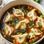 Potsticker Soup: A Comforting Delight Recipe